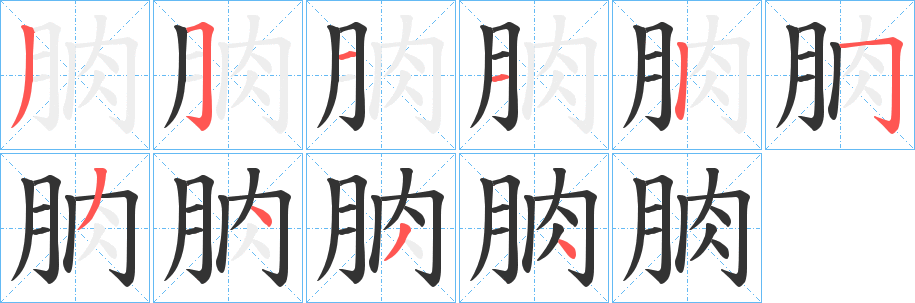 朒字笔画写法