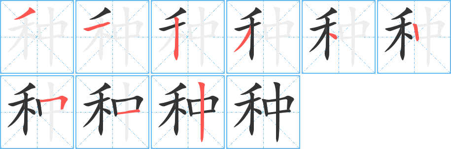 种字笔画写法