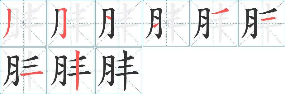 肨字笔画写法