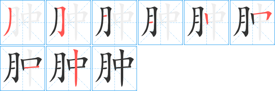 肿字笔画写法