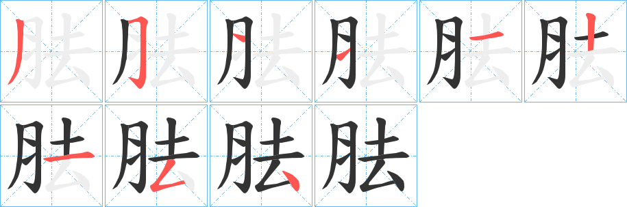 胠字笔画写法