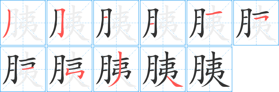 胰字笔画写法