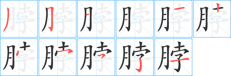 脖字笔画写法