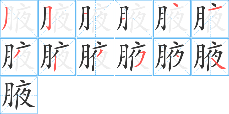 腋字笔画写法