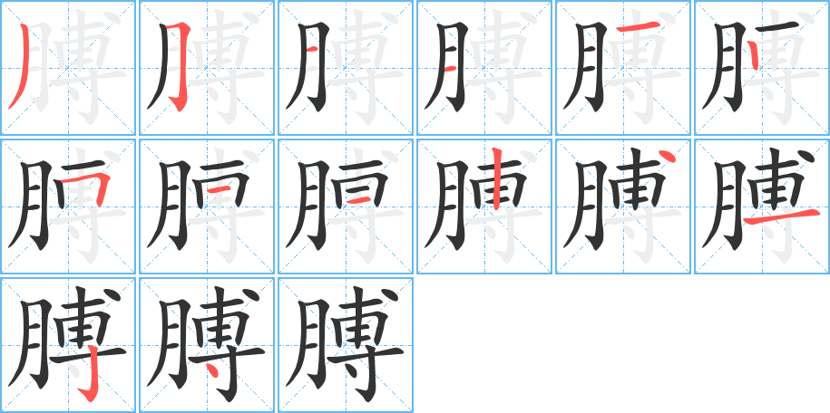 膊字笔画写法