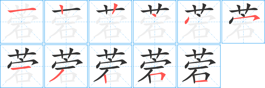 菪字笔画写法